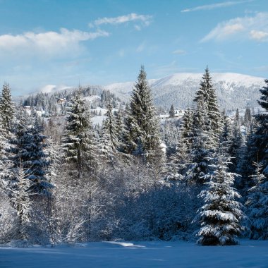 Kış resimli Gorgany Massiv Dağları Yablunytsia geçidi, Karpatlar, Ukrayna manzaralı.