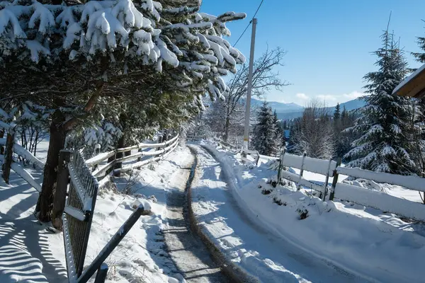 Invierno Pintoresco Paisaje Montañas Vista Desde Paso Yablunytsia Cárpatos Ucrania —  Fotos de Stock