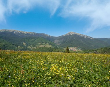 Yaz resimli Gorgany Massiv dağları Sevenei tepesinden (Yablunytsia geçidi yakınları, Karpatlar, Ukrayna.)