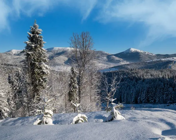 Inverno Pitoresco Gorgany Maciça Montanhas Paisagem Vista Yablunytsia Passar Cárpatos — Fotografia de Stock