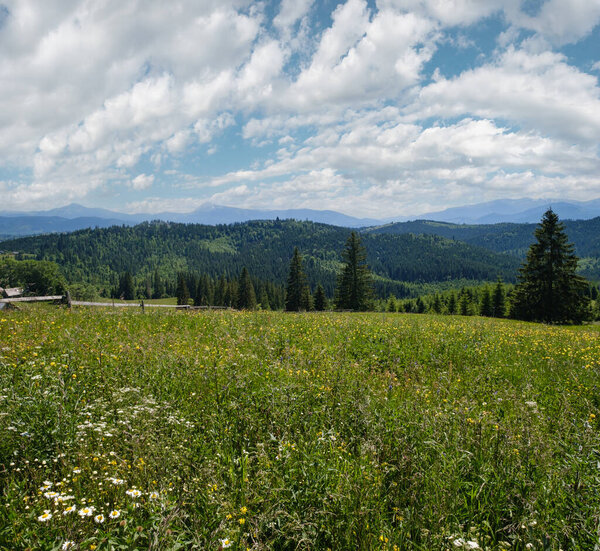 Летний живописный вид на горы Черногории с холма Севеней (возле перевала Яблуница, Карпаты, Украина).)