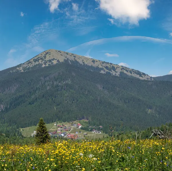 Καλοκαίρι Γραφικό Βουνό Gorgany Θέα Τοπίο Από Λόφο Sevenei Κοντά Φωτογραφία Αρχείου