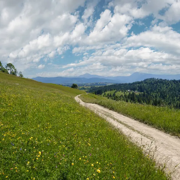 Sommer Malerische Chornohora Massive Gebirgslandschaft Blick Vom Hügel Sevenei Der Stockbild