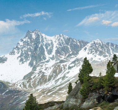 Alp dağ manzarası (Avusturya yaz).