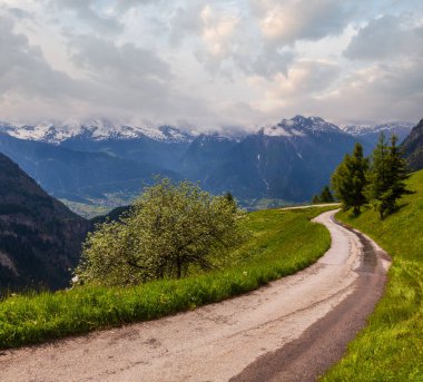 Kırsal yol ve İsviçre 'nin çayırlık yamacında kır çiçekleri olan yaz Alpleri dağ manzarası.