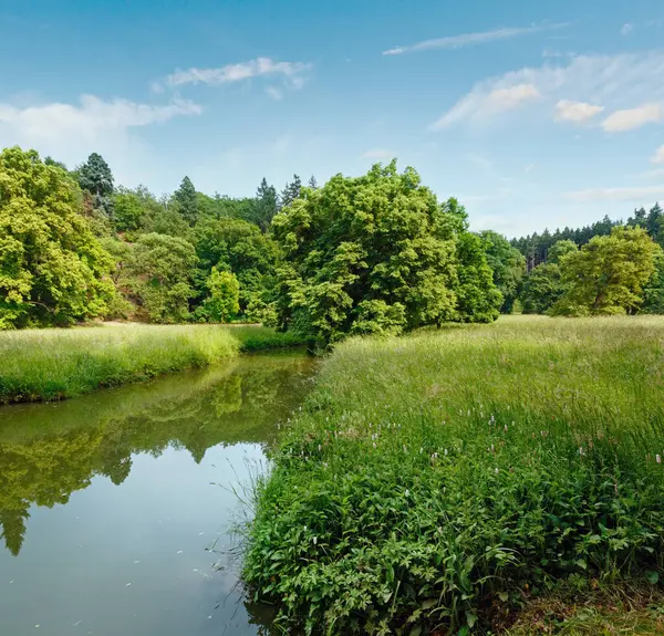 Kanal Otlak Yaz Yatay — Stok fotoğraf