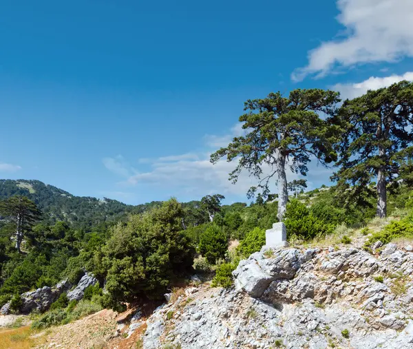 Llogara アルバニアの松の木を持つビューを渡す ロイヤリティフリーのストック写真