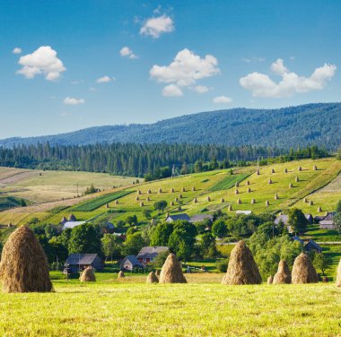 Yaz dağ köyü ilçe sınırı ile haystacks alanında (Karpat, Ukrayna)