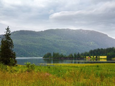 Fiyort yaz bulutlu ülke görünümü (Norveç)
