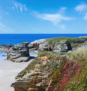 Yaz çiçek açması Atlantik Illas (Galiçya, İspanya) ile plaj beyaz kum ve pembe çiçekler önünde.