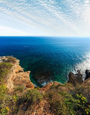 Yaz Atlantik kayalık sahil manzaralı sarı çiçekler üzerinde uçurum (Lagoa, Algarve, Portekiz).