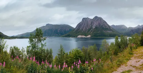 Fjord Sommer Trübe Aussicht Mit Blumen Vor Norwegen — Stockfoto