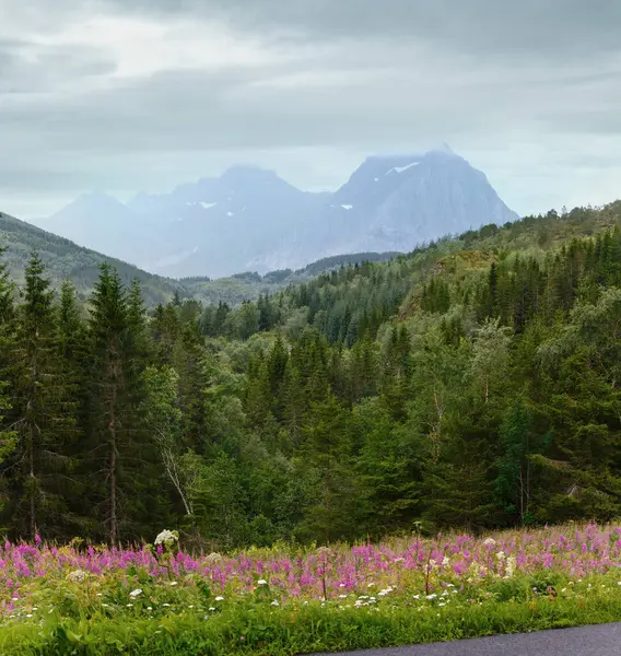 Літній Дощ Видом Гори Квітами Передній Норвеґія Ліцензійні Стокові Зображення
