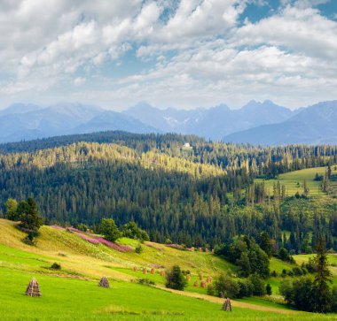 Yaz akşam dağ köyü ilçe sınırı ile pembe çiçekler ve haystacks Hill (gliczarow gorny, Polonya)
