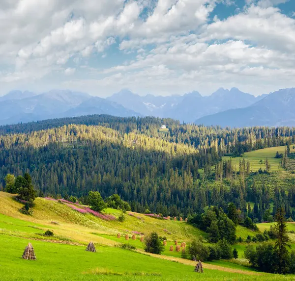 Yaz akşam dağ köyü ilçe sınırı ile pembe çiçekler ve haystacks Hill (gliczarow gorny, Polonya)