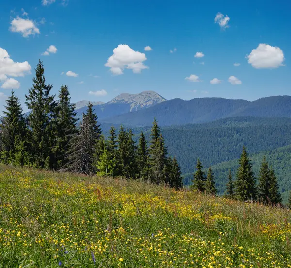 Καλοκαίρι Γραφικό Βουνό Gorgany Θέα Τοπίο Από Λόφο Sevenei Κοντά Εικόνα Αρχείου