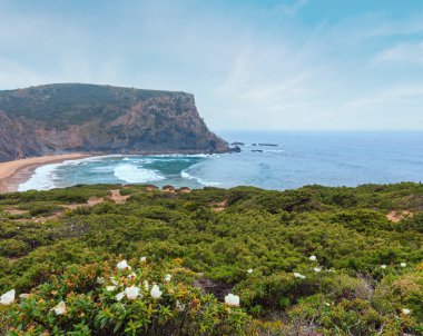 Atlantik kayalık sahil görünümü, Aljezur, Algarve Batı, çiçek açması yaz Costa Vicentina, Portekiz.