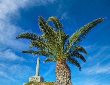 Deniz feneri Cabo de Palos yaz görünümü ve palmiye ağacı önünde mavi gökyüzü arka plan (Cartagena, Murcia, İspanya).