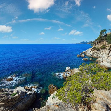 Yaz deniz kayalık sahil manzaralı kozalaklı ağaçlar (Catalonia, İspanya).