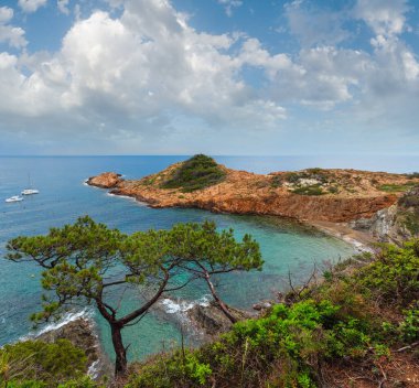 Defne deniz yaz görünümü ile kozalaklı ağaçlar önünde. Costa Brava, Katalonya, İspanya.