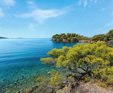Sabah yaz Ege Denizi kayalık sahil yatay, çam ağaçları kıyısında, Sithonia (yakın Ag. Kiriaki), Halkidikya, Yunanistan.