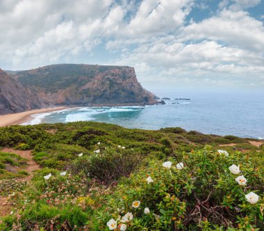 Atlantik kayalık sahil görünümü, Aljezur, Algarve Batı, çiçek açması yaz Costa Vicentina, Portekiz.