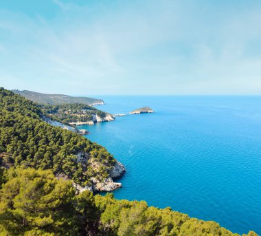 Yaz sakin güzel sahil (Cala di Porto Greco, Gargano Yarımadası, Puglia, İtalya). Torre dell'Aglio göster.