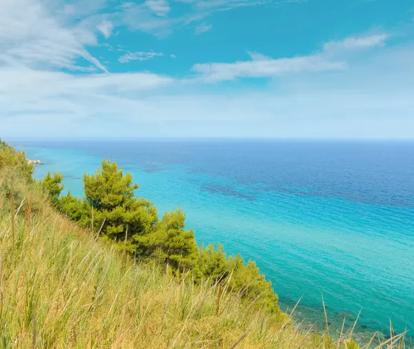Yaz deniz kıyısında sabah peyzaj (Kassandra Yarımadası, Halkidikya, Yunanistan).