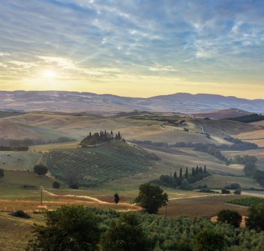 Tuscany yaz sabah gündoğumu kırsal İtalya güzel manzara. Bölge Toscana çiftlik, hills, buğday alan, zeytin Bahçe, bağ için tipik.