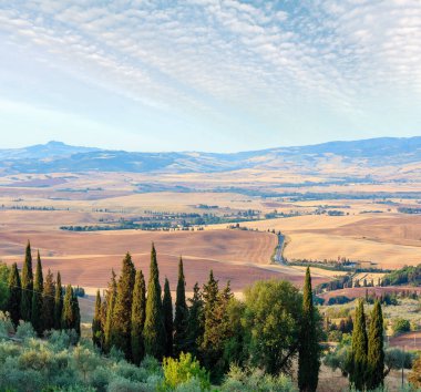 Pienza şehir duvarlarının Tuscany yaz sabah kırsal güzel manzara. İtalya bölge Toscana çiftlik evleri, hills, buğday alan, zeytin Bahçe, üzüm bağları için tipik, selvi geçer.