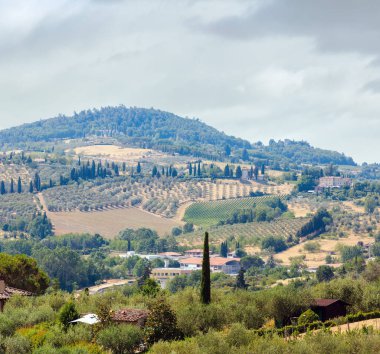 Pienza şehir duvarlarından Toskana yaz kırsalının güzel manzarası. Tipik İtalya bölgesi Toscana tepeleri, buğday tarlaları, zeytin bahçeleri, üzüm bağları, selvi geçitleri.