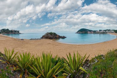 La Fosca beach kale kalıntıları ve Agave bitkiler, Palamos, Girona-Costa Brava, İspanya, sabah yatay yaz. İki tane dikiş panorama. 