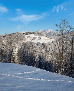 Kış resimli Gorgany Massiv Dağları Yablunytsia geçidi, Karpatlar, Ukrayna manzaralı.