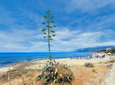 Güzel Tiren Denizi kıyı şeridi ve plaj manzara. Cilento ve Vallo di Diano Milli Parkı, Salerno, İtalya