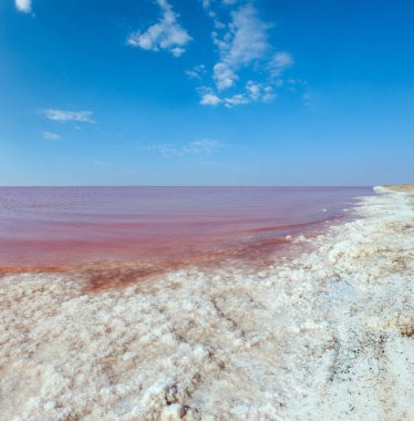 Pink extremely salty Syvash Lake, colored by microalgae with crystalline salt depositions. Also known as the Putrid Sea or Rotten Sea. Ukraine, Kherson Region, near Crimea and Arabat Spit. clipart