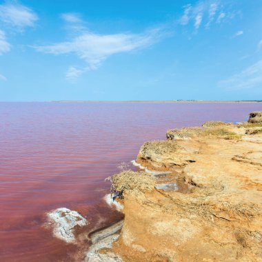 Son derece tuzlu Syvash Gölü mikroalg tarafından renkli, pembe. Olarak da bilinen Putrid deniz veya Rotten deniz. Ukrayna, Kherson Region, Crimea ve Arabat tükürük.