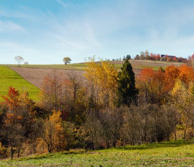 Sonbahar Karpat Köyü manzara (Ivano-Frankivsk oblast, Ukraine). Alan ve renkli ağaçlar ile kırsal manzara.