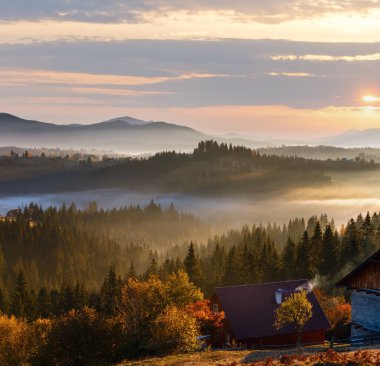 İlk gündoğumu ışınları güneş ve gölgeler sis ve yamacındaki ağaçlar. Sabah sonbahar Karpat Dağları peyzaj (Yablunytsia Köyü ve geçmek, Ivano-Frankivsk oblast, Ukrayna).