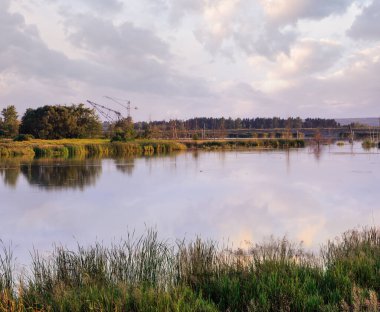 Akşam yaz göl manzara bitkilerle yansımaları su yüzeyi (yakınındaki Shklo yerleşim, Lviv Oblast, Ukraine) .