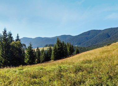 Yaz dağ manzarası (Karpatlar, Kryvopillja, Verkhovyna district, Ivano-Frankivsk region, Ukrayna).