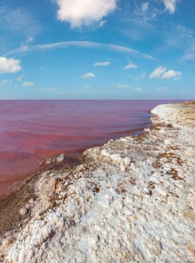 Son derece tuzlu Syvash Gölü kristal tuz ifadeleri ile mikroalg tarafından renkli, pembe. Olarak da bilinen Putrid deniz veya Rotten deniz. Ukrayna, Kherson Region, Crimea ve Arabat tükürük.