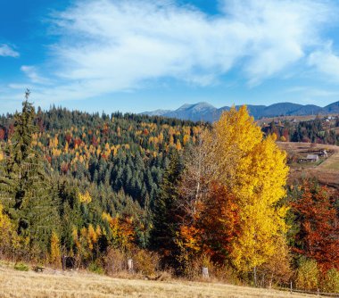 Sabah Karpat Dağları ve köy köyler yamaçlarında (Yablunytsia Köyü ve geçmek, Ivano-Frankivsk oblast, Ukrayna).