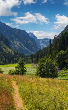 Durmitor Ulusal Parkı, Karadağ, Avrupa, Balkanlar Dinarik Alpleri, UNESCO Dünya Mirası 'nın resimli yaz manzarası. Dağdaki otlaklar bataklık boşluğu.