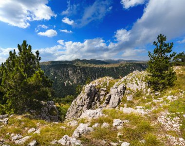Durmitor Milli Parkı'ndaki Tara Kanyonu'nun pitoresk yaz lık manzara, Karadağ, Avrupa, Balkanlar Dinarik Alpleri, Unesco Dünya Mirası.