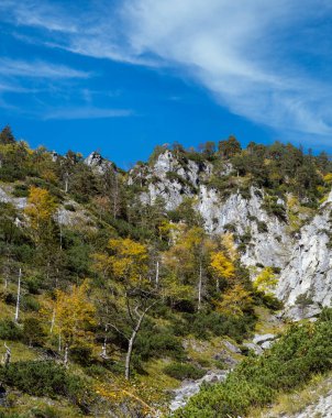Güneşli, huzurlu, rengarenk sonbahar alp manzarası. Yukarı Avusturya 'daki Almsee Gölü yakınlarındaki yürüyüş yolundan huzurlu kayalık dağ manzarası.