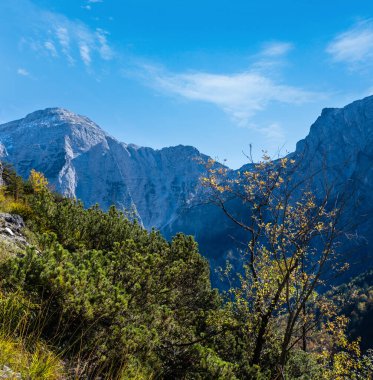 Güneşli, huzurlu, rengarenk sonbahar alp manzarası. Yukarı Avusturya 'daki Almsee Gölü yakınlarındaki yürüyüş yolundan huzurlu kayalık dağ manzarası.
