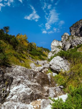 Güneşli, huzurlu, rengarenk sonbahar alp manzarası. Yukarı Avusturya 'daki Almsee Gölü yakınlarındaki yürüyüş yolundan huzurlu kayalık dağ manzarası.