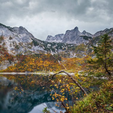 Resimli Hinterer Gosausee Gölü, Yukarı Avusturya. Berrak şeffaf su ve yansımalarla dağdaki dağ gölünün renkli sonbahar manzarası. Dachstein zirvesi ve uzak buzullar.