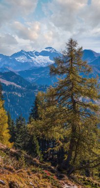 Güneşli, huzurlu, sonbahar dağları manzarası. Dorfgastein 'dan Paarseen göllerine, Land Salzburg, Avusturya' ya yürüyüş yolundan huzurlu Alpler dağ manzarası. Resimli yürüyüş mevsimi, doğa güzelliği konsepti sahnesi.