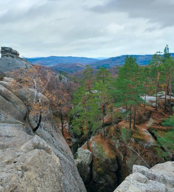 büyük Yüce taşlar sonbahar Forest (